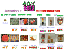 Tablet Screenshot of fukuiku.org